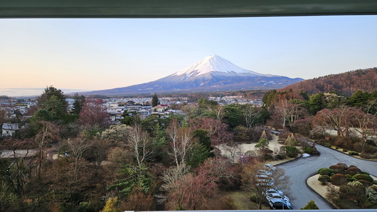 fuji